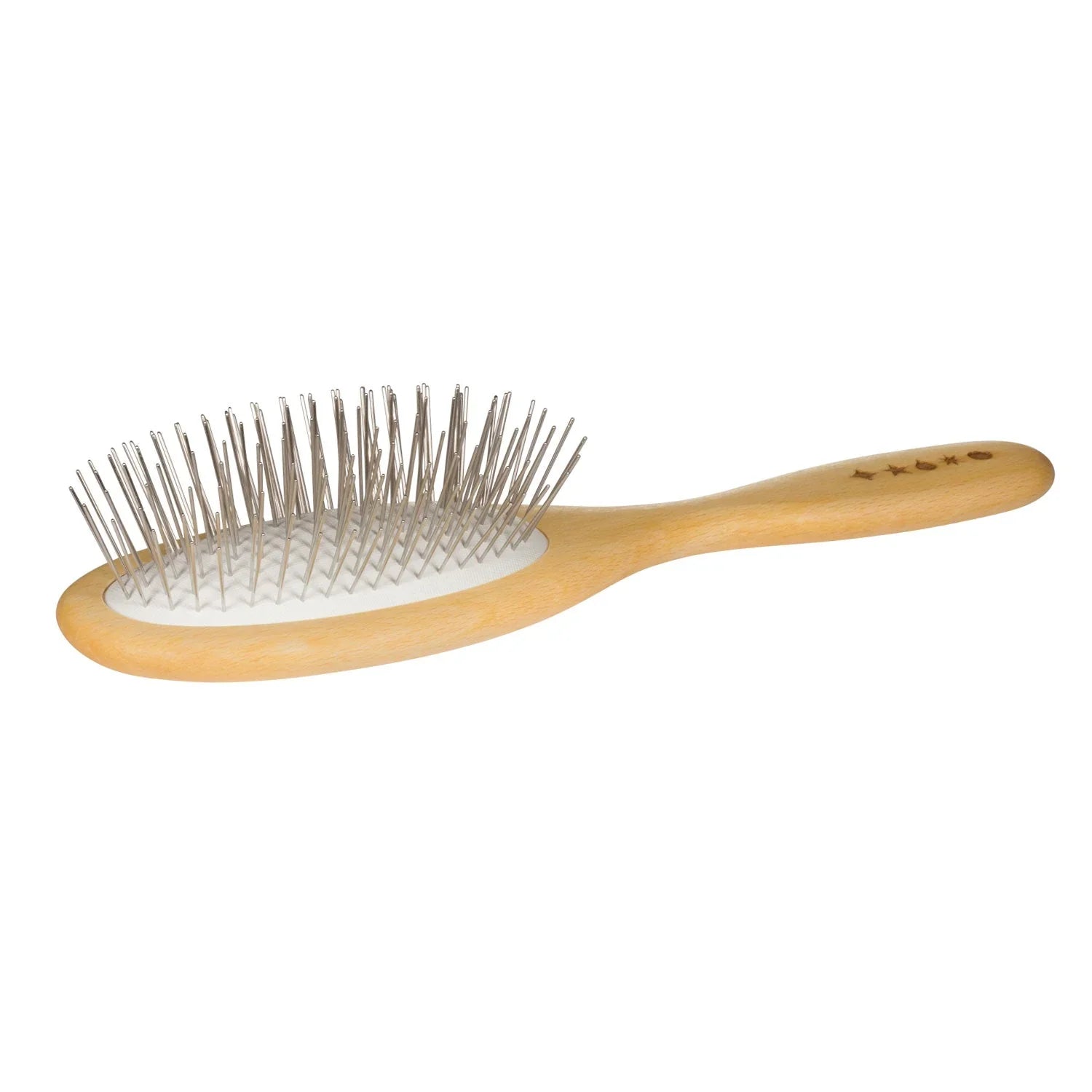 BeechwoodBrush2_1024x1024_2x_929c2017-024d-4a68-9151-3097f6e4af6b.webp