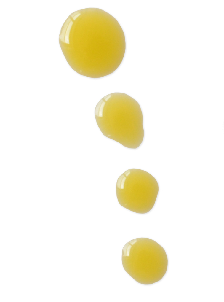 Blissoma Restore Omega Miracle Facial Oil