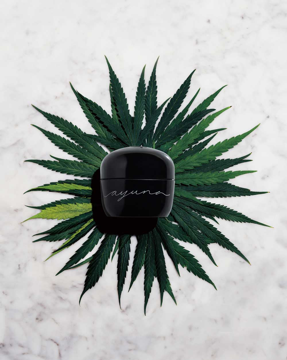 cream III – Cannabic Sublimating Cream