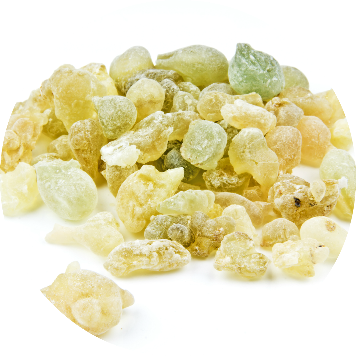 Frankincense Serrata Essential Oil