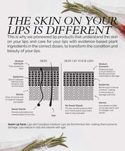 Fitglow Beauty | LIP COLOUR SERUM