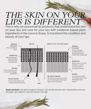 Fitglow Beauty | Signature Lip Trio