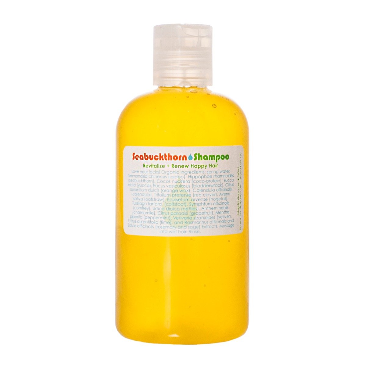 seabuckthorn-shampoo-240ml_hires_1_1024x1024_2x_a2aa6518-8d4c-42d2-af4d-6cae11d13b74.jpg