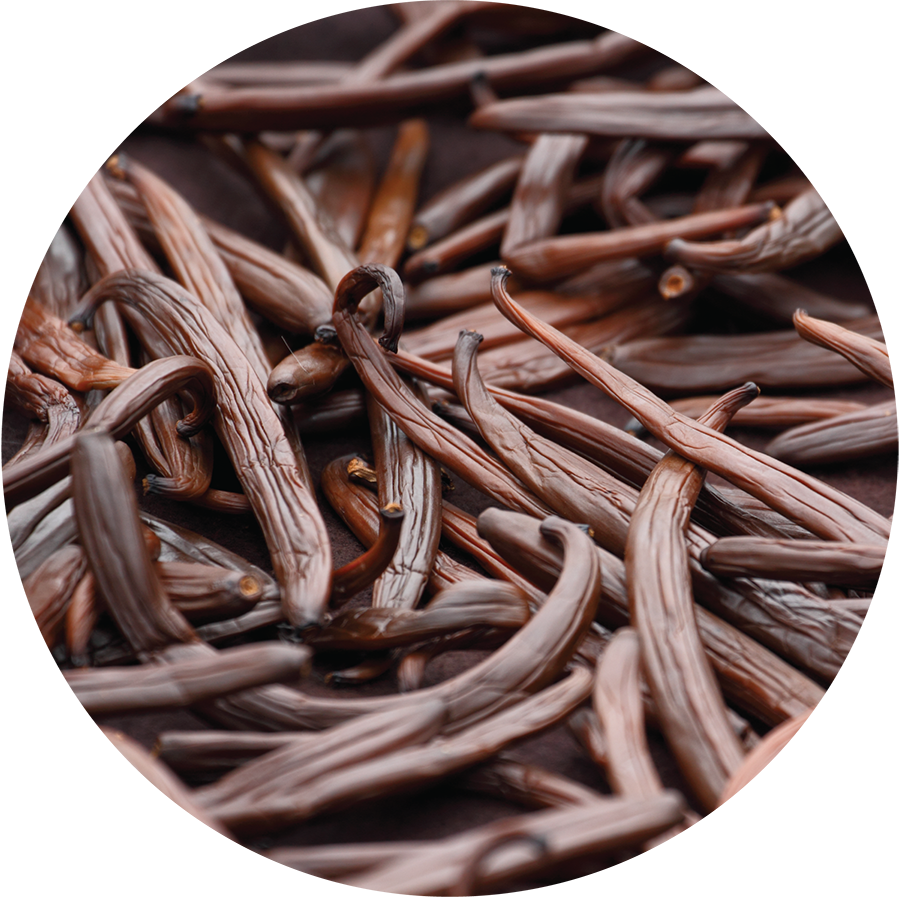 vanilla_infusion_sm_1024x1024_2x_5047a6bf-675c-472b-a219-b1ee0352d69a.png