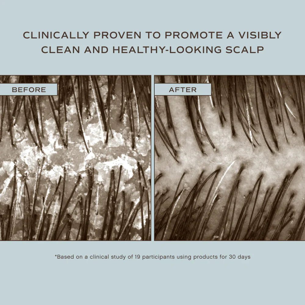 Innersense Organic Beauty | Hair Renew Soothing Conditioner