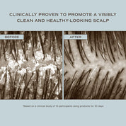 Innersense Organic Beauty | Hair Renew Soothing Conditioner