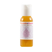 Living Libations | Calendula Comfort Shampoo + Bodywash