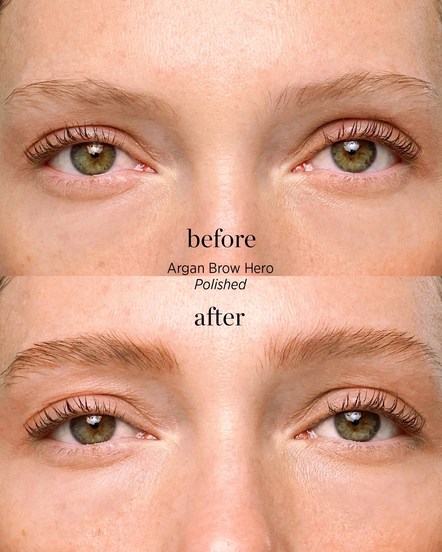 Argan Brow Hero
