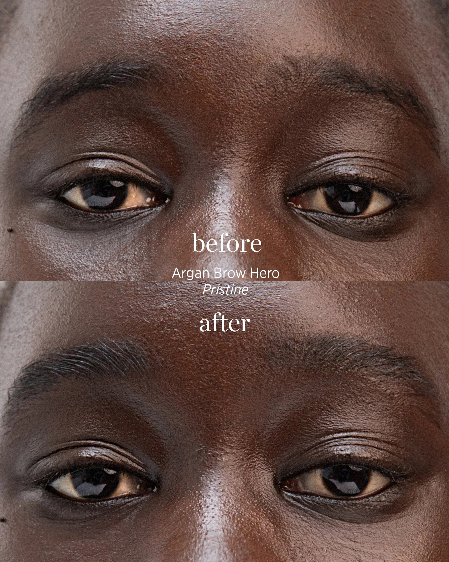 Argan Brow Hero