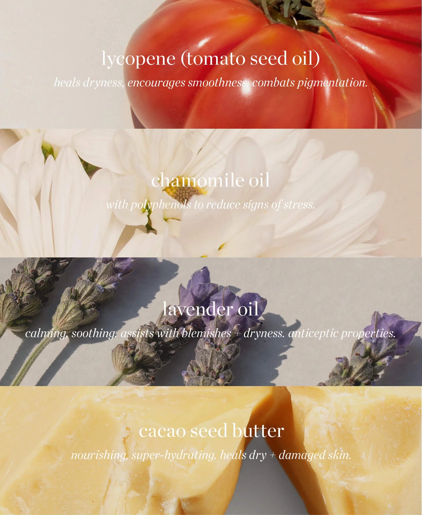 Ere Perez | Wild Tomato Riche Crème