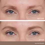 PureBrow® Brow Powder