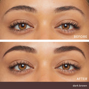 PureBrow® Brow Powder