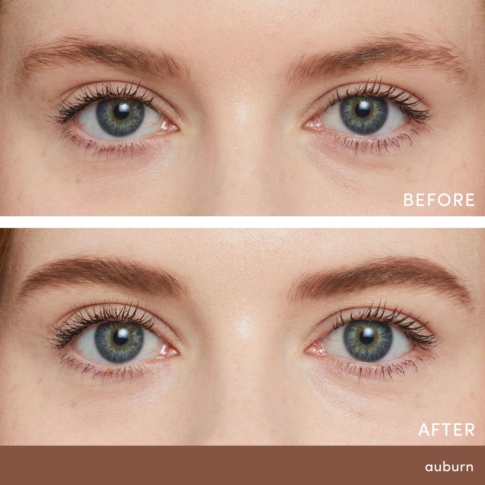 PureBrow® Brow Powder