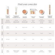 PureMatch Liquid Concealer