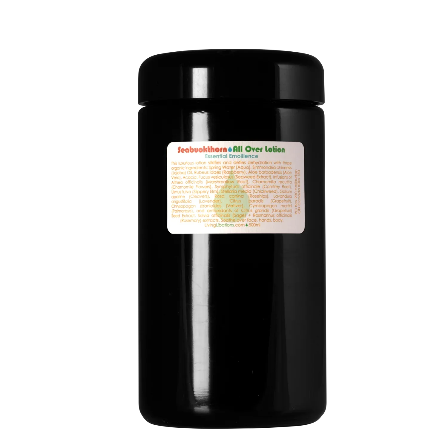 Living Libations | Seabuckthorn All Over Lotion