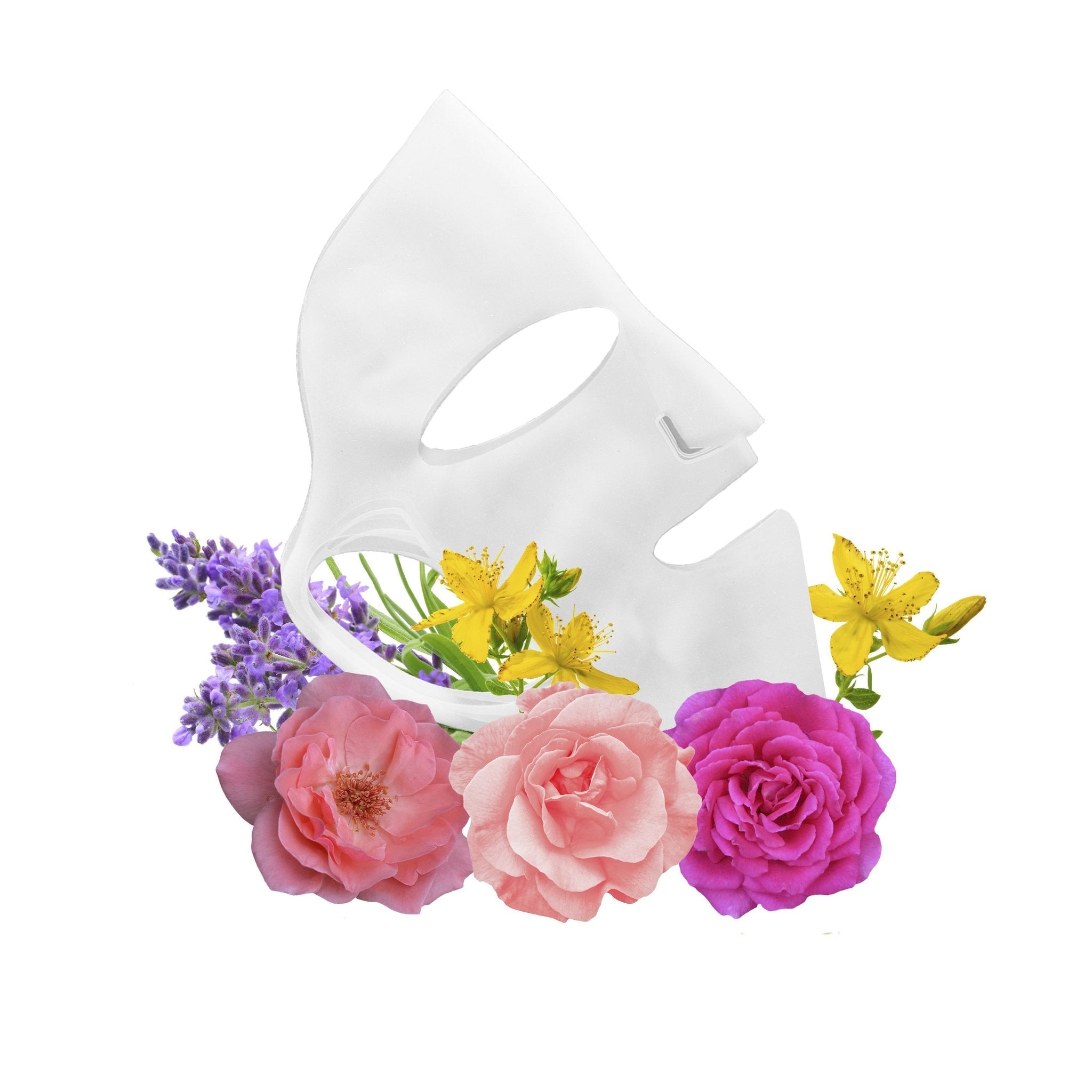Silicone-Face-Mask_Mouth_Botanical_1024x1024_2x_c43efd1d-d16e-4801-94a1-54026cbb1191.jpg