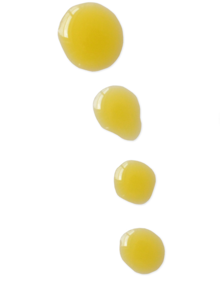 Blissoma Restore Omega Miracle Facial Oil