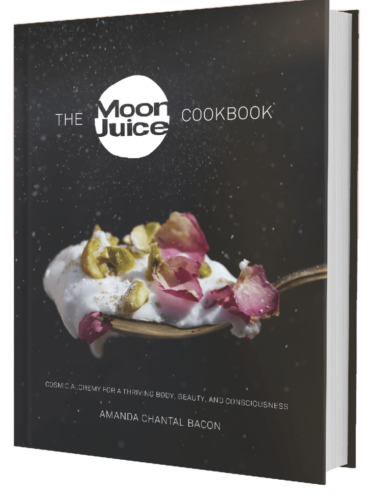 cookbook_1024x1024_ea0710f3-358b-417d-9ba5-ebbb4fb9af80.png