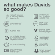 Davids | Herbal Citrus Peppermint Premium Natural Toothpaste