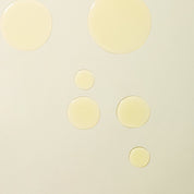 Agent Nateur h o l i (Body) Ageless Body Serum