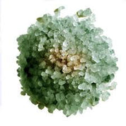 LILFOX | ADRIATIC TEMPLE Holy Tree Green Incense Soak