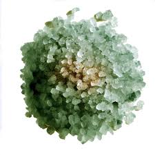 LILFOX | ADRIATIC TEMPLE Holy Tree Green Incense Soak