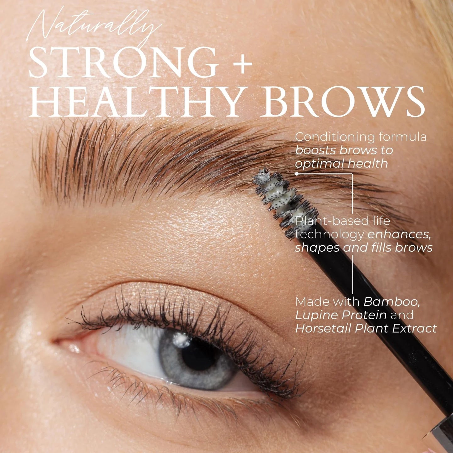 Fitglow Beauty | PLANT PROTEIN BROW GEL Clear