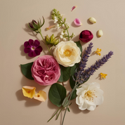Shop Living Libations Rose Glow Serum Clean Beauty