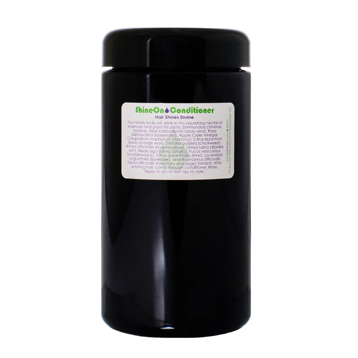 Living Libations Shine On Hair Conditioner