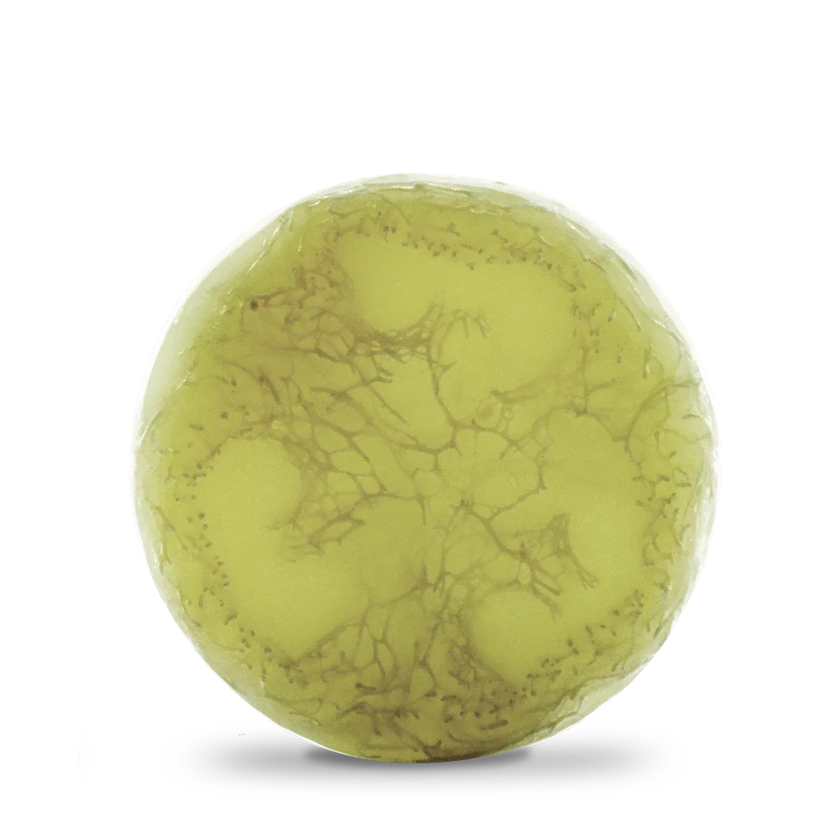 Ayuna spirulite – Multiactive Solid Mask